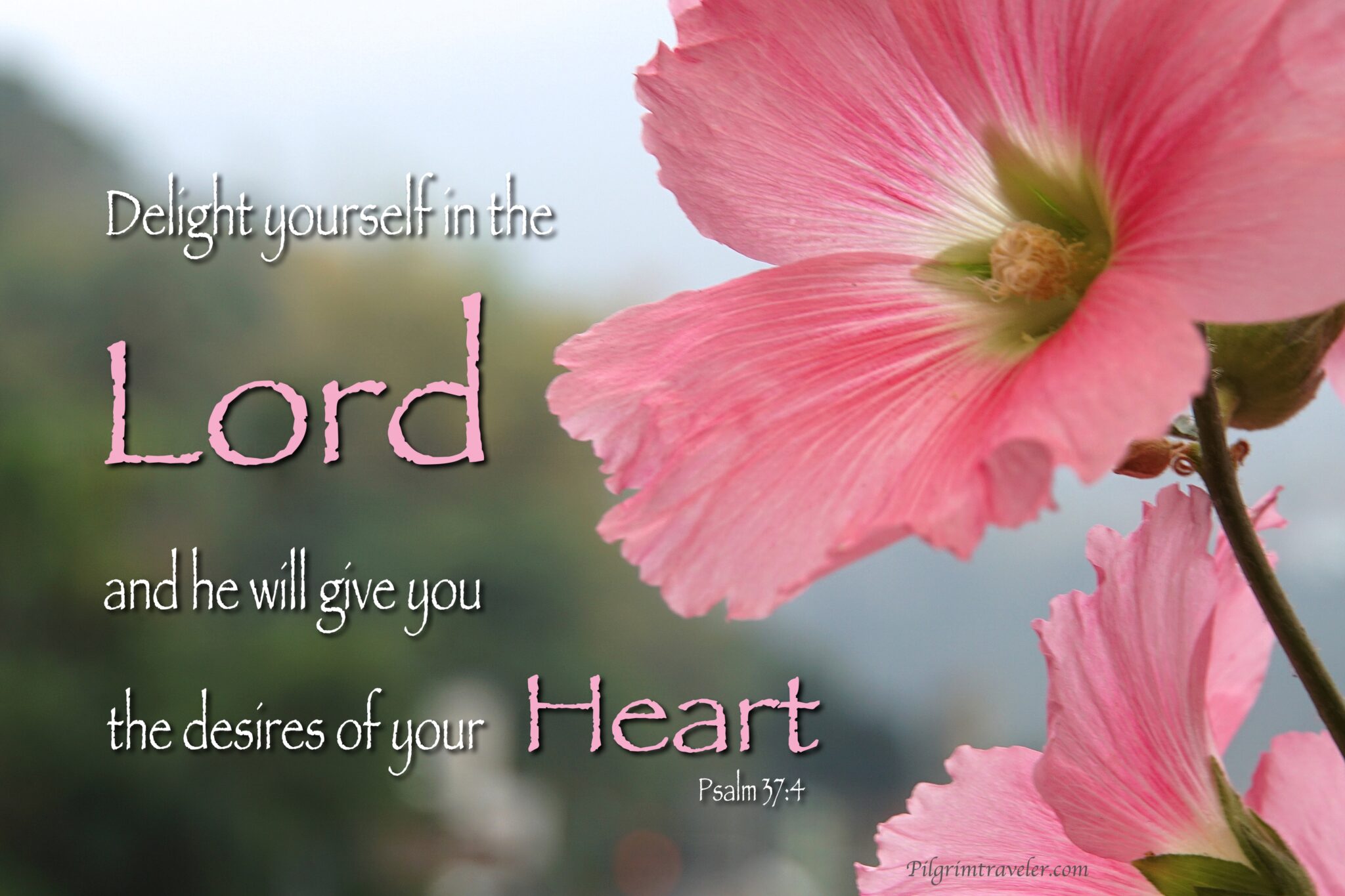 Psalm 37:4 “Delight yourself in the Lord, and he will give you the ...