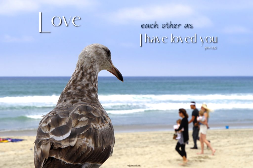 John 15:12 My command is this: "Love each other as I have loved you."